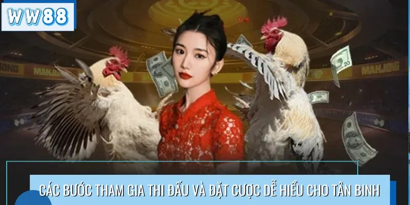 Các bước tham gia thi đấu và đặt cược dễ hiểu cho tân binh