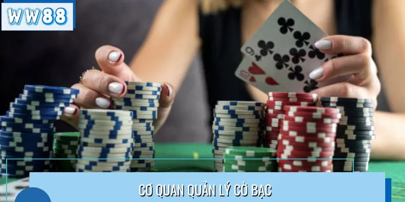 Tìm Hiểu Các Cơ Quan Quản Lý Cờ Bạc Uy Tín Cùng WW88