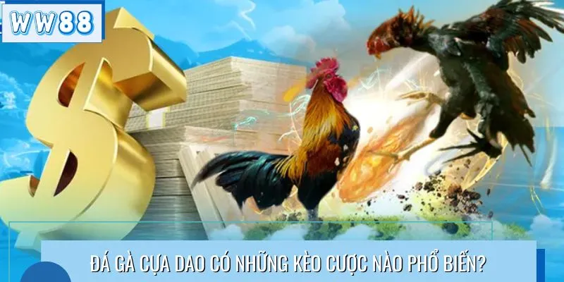 Đá gà cựa dao có những kèo cược nào phổ biến?