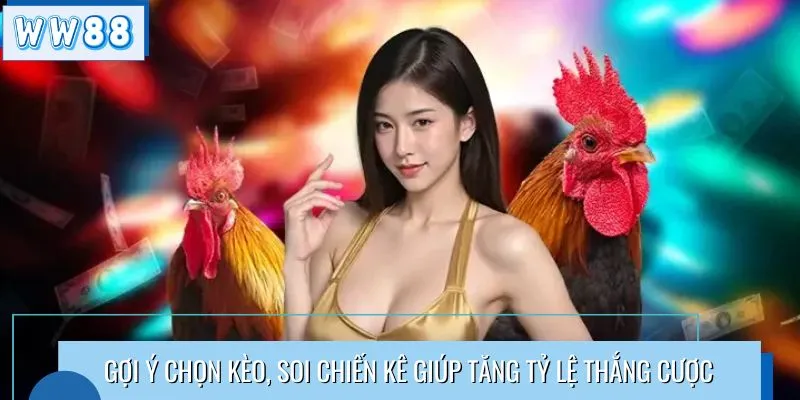 Gợi ý chọn kèo, soi chiến kê giúp tăng tỷ lệ thắng cược