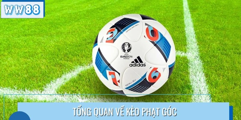 Khái quát về khái niệm tỷ lệ phạt góc
