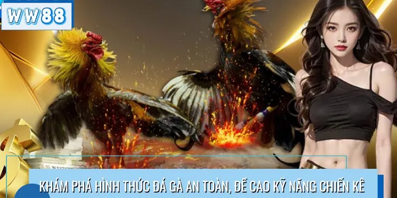 Khám phá hình thức đá gà an toàn, đề cao kỹ năng chiến kê