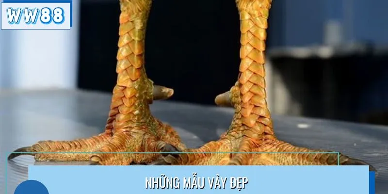 Những mẫu vảy đẹp