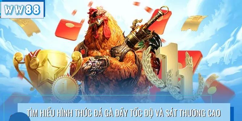 Tìm hiểu hình thức đá gà đầy tốc độ và sát thương cao