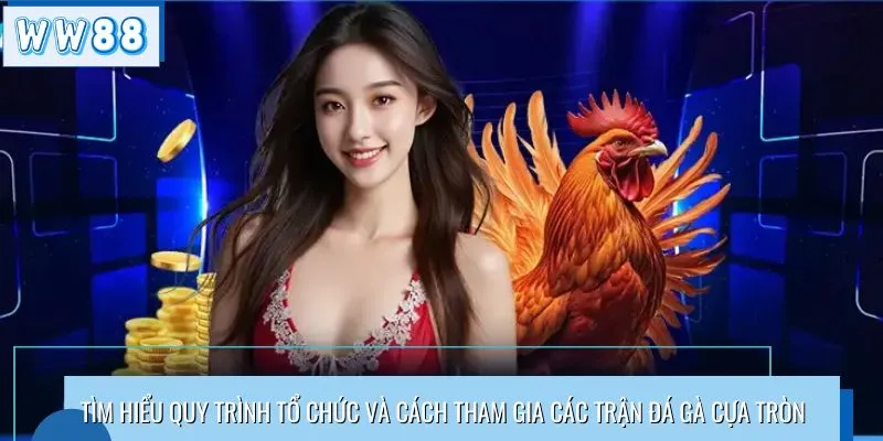 Tìm hiểu quy trình tổ chức và cách tham gia các trận đá gà cựa tròn
